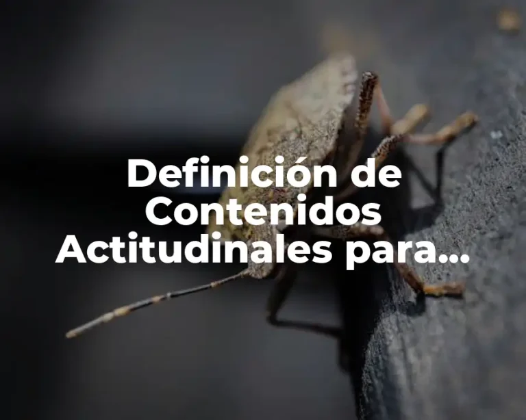 Definición de Contenidos Actitudinales para Ciencias Naturales