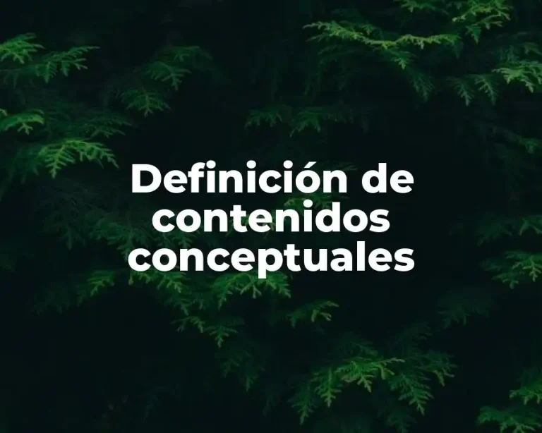 Definición de contenidos conceptuales