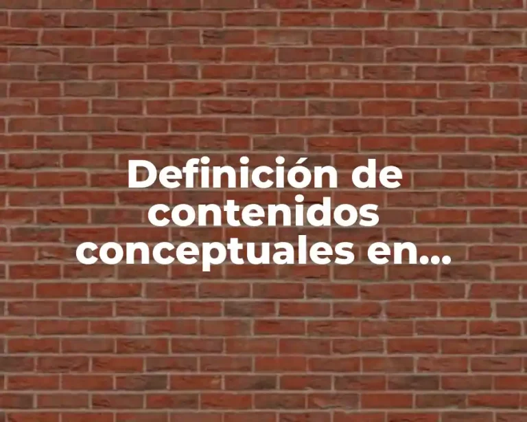 Definición de contenidos conceptuales en matemáticas