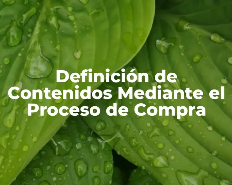 Definición de Contenidos Mediante el Proceso de Compra