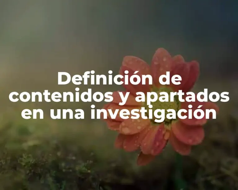 Definición de contenidos y apartados en una investigación
