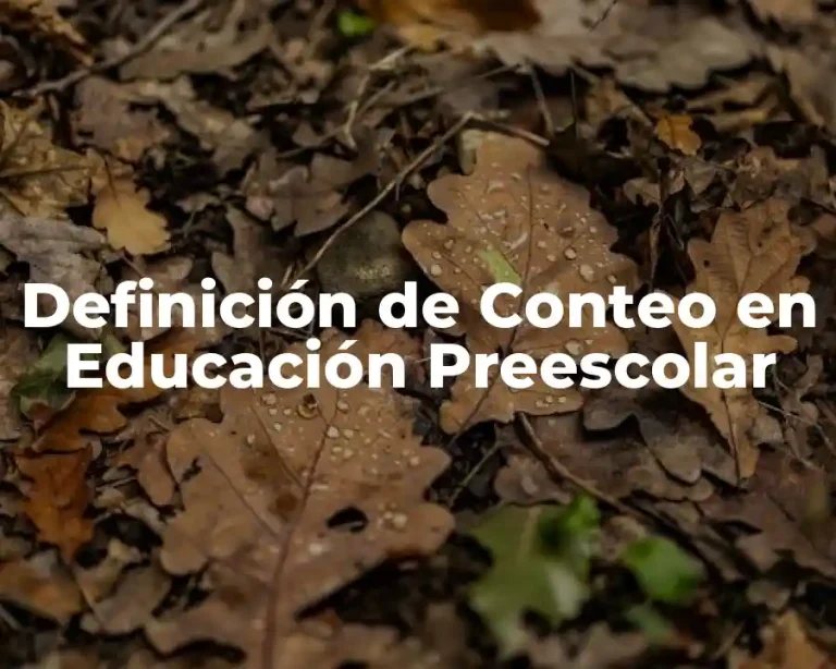 Definición de Conteo en Educación Preescolar