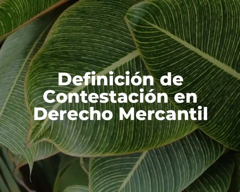 Definición de Contestación en Derecho Mercantil