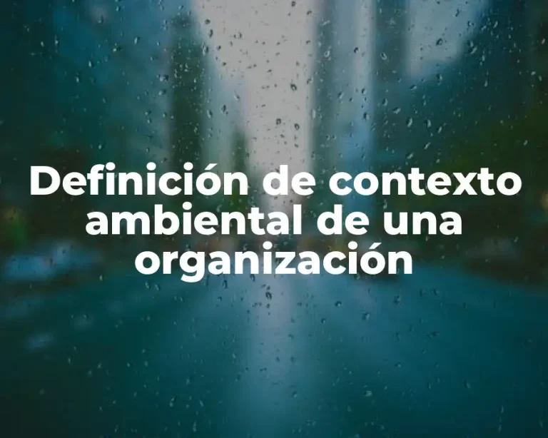 Definición de contexto ambiental de una organización