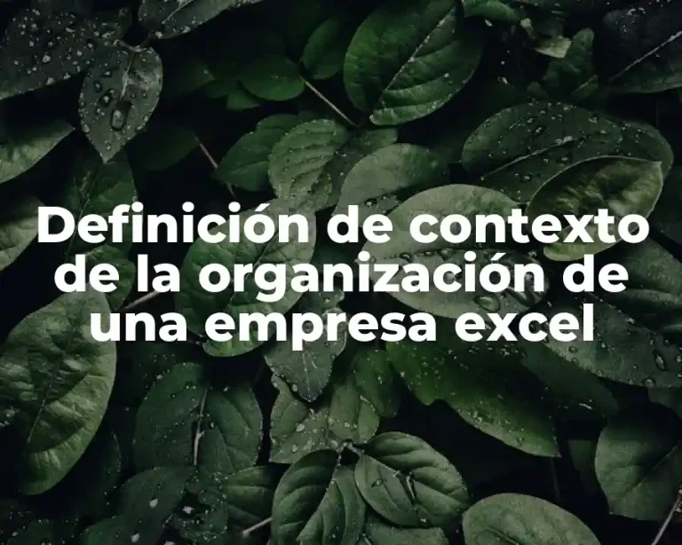 Definición de contexto de la organización de una empresa excel