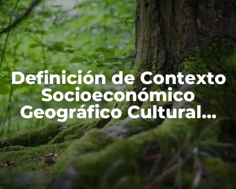 Definición de Contexto Socioeconómico Geográfico Cultural Social