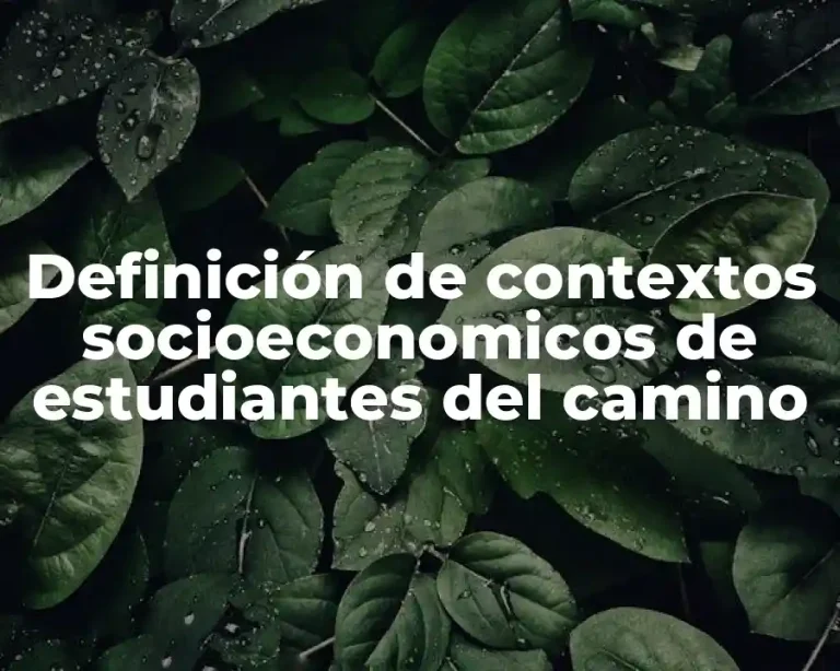 Definición de contextos socioeconomicos de estudiantes del camino