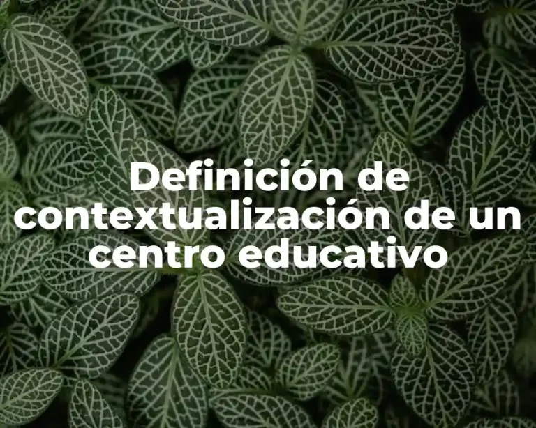 Definición de contextualización de un centro educativo