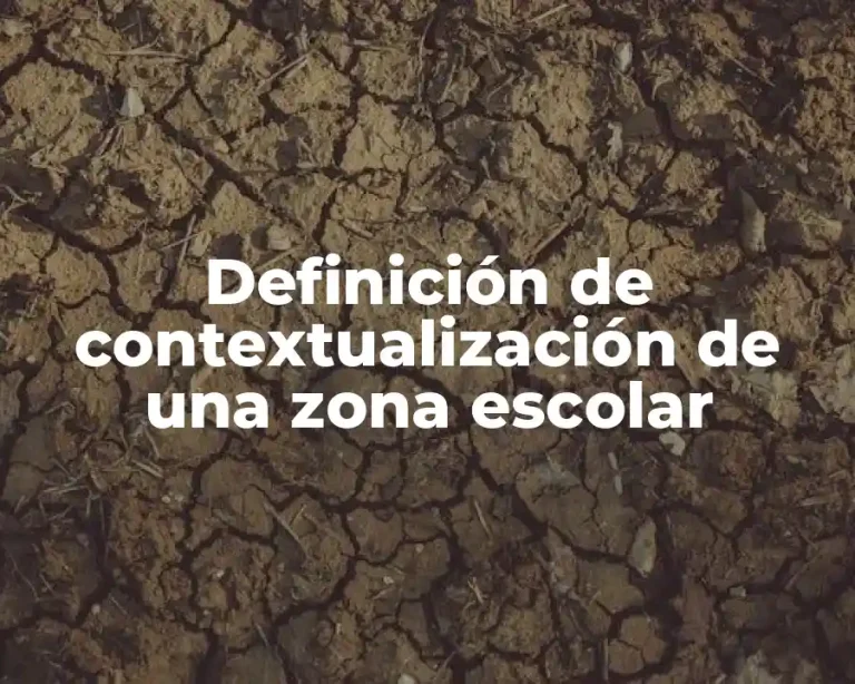 Definición de contextualización de una zona escolar