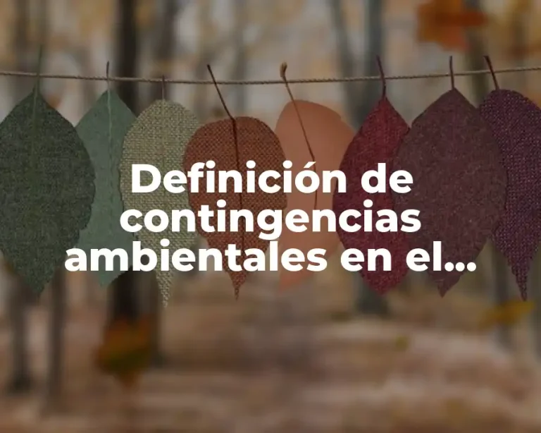 Definición de contingencias ambientales en el estado de Veracruz