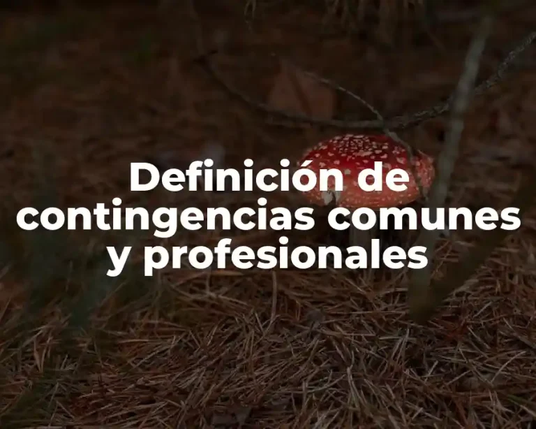 Definición de contingencias comunes y profesionales