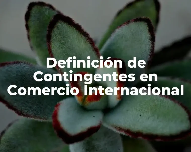 Definición de Contingentes en Comercio Internacional