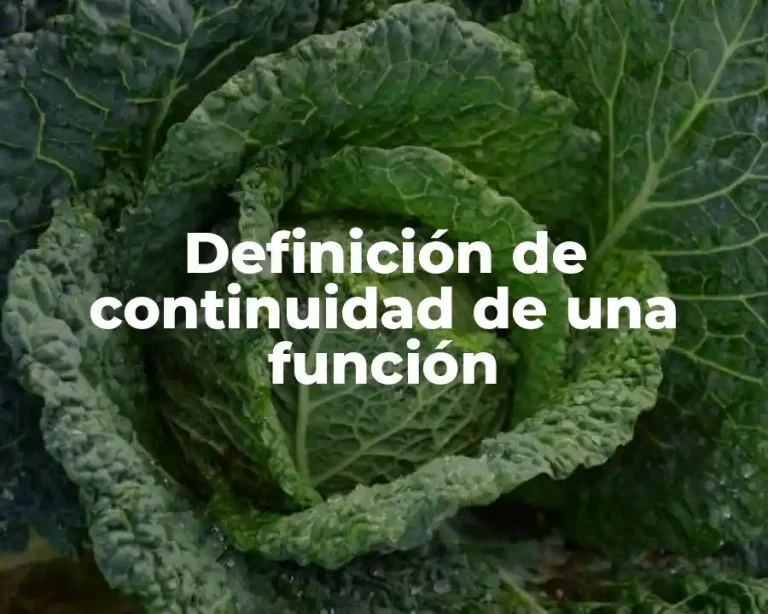 Definición de continuidad de una función