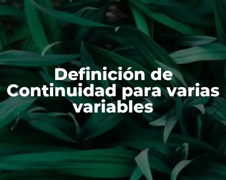 Definición de Continuidad para varias variables