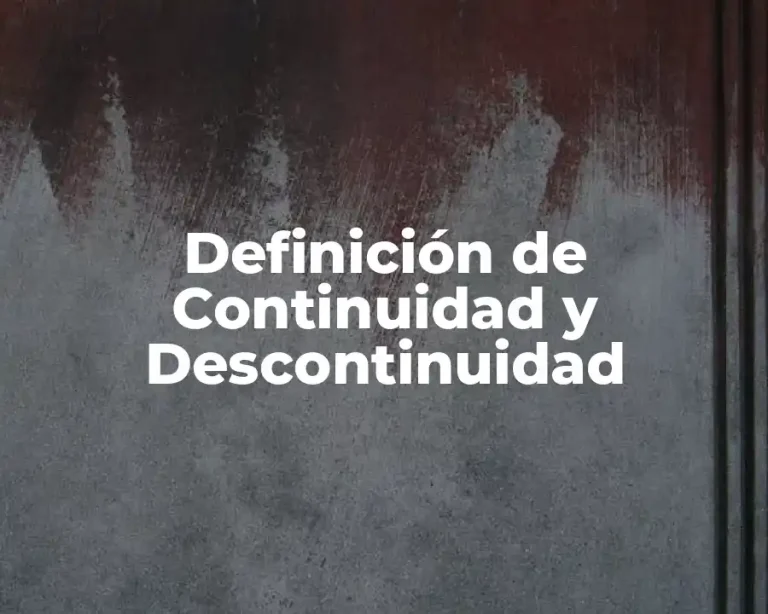 Definición de Continuidad y Descontinuidad