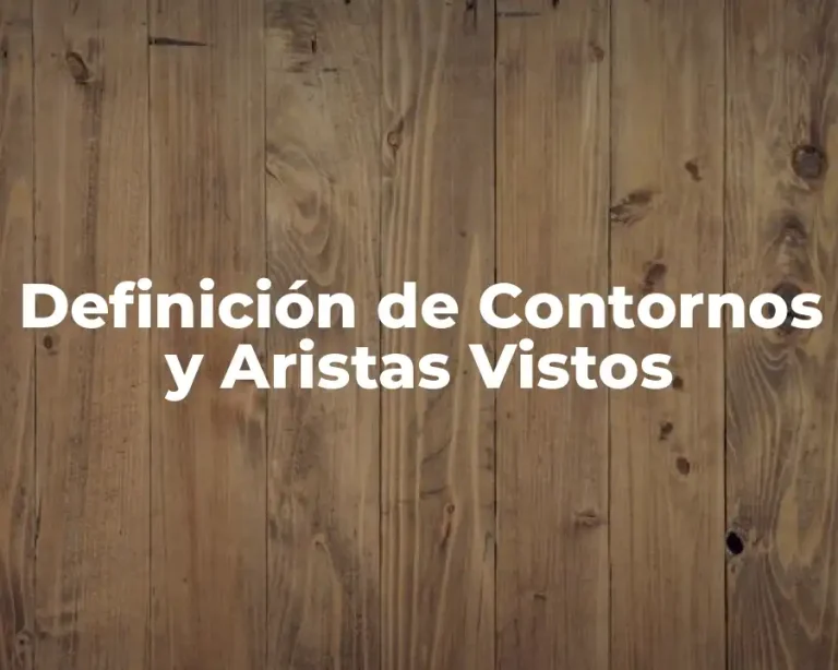 Definición de Contornos y Aristas Vistos