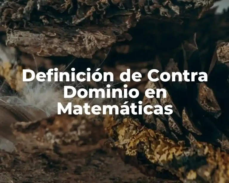 Definición de Contra Dominio en Matemáticas
