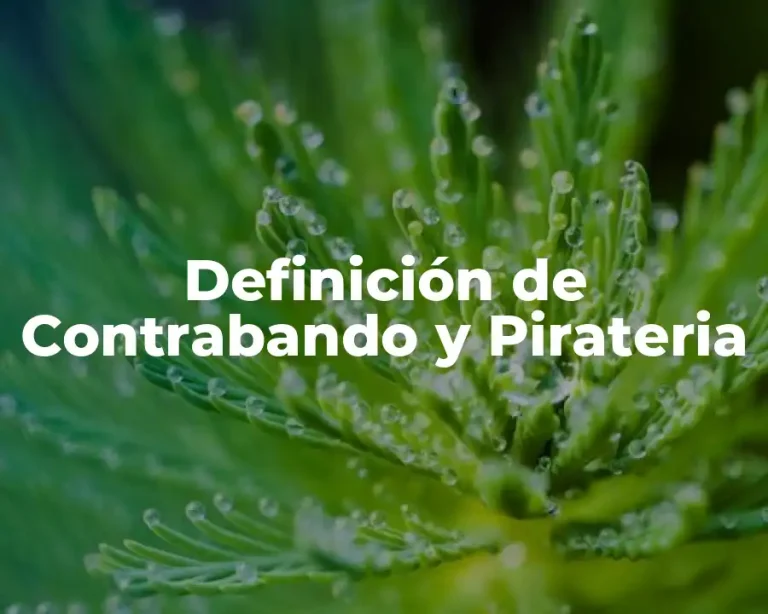 Definición de Contrabando y Pirateria