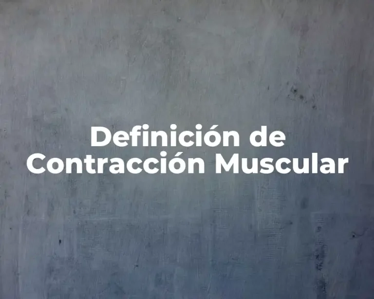 Definición de Contracción Muscular