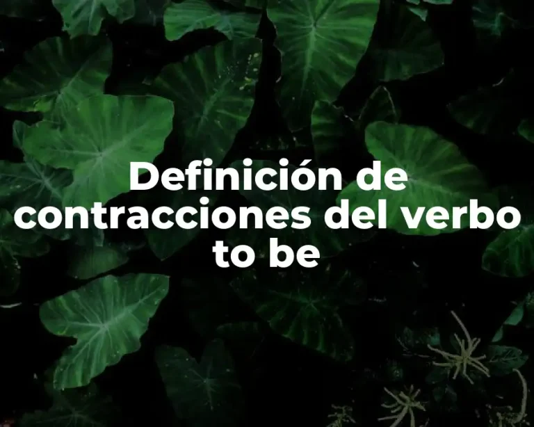 Definición de contracciones del verbo to be