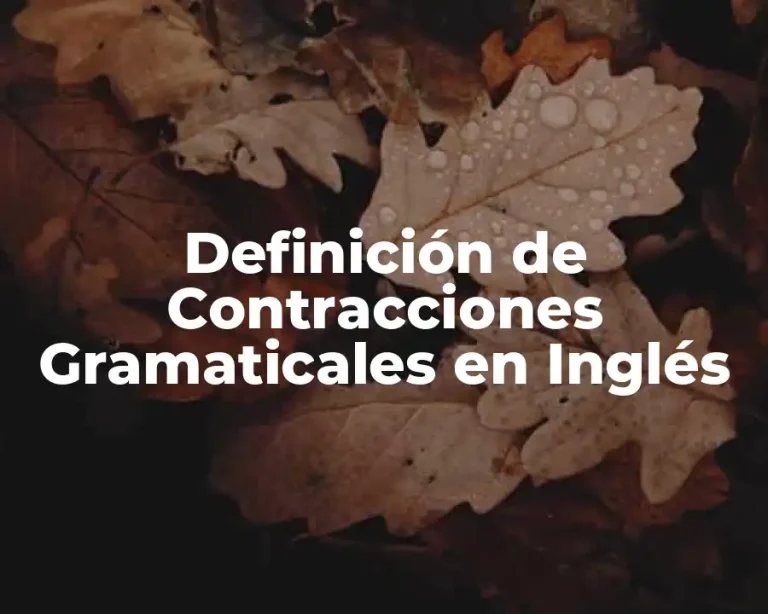 Definición de Contracciones Gramaticales en Inglés