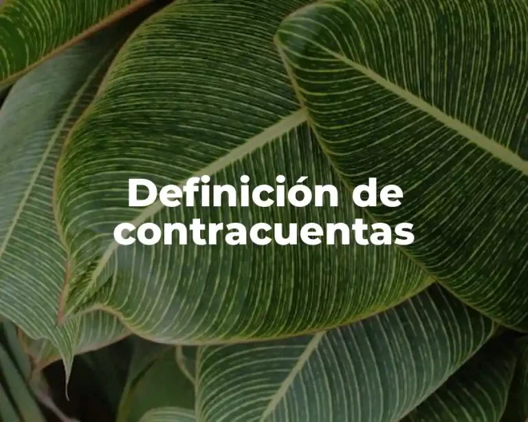 Definición de contracuentas