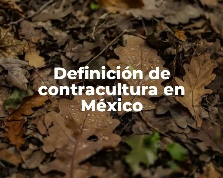 Definición de contracultura en México