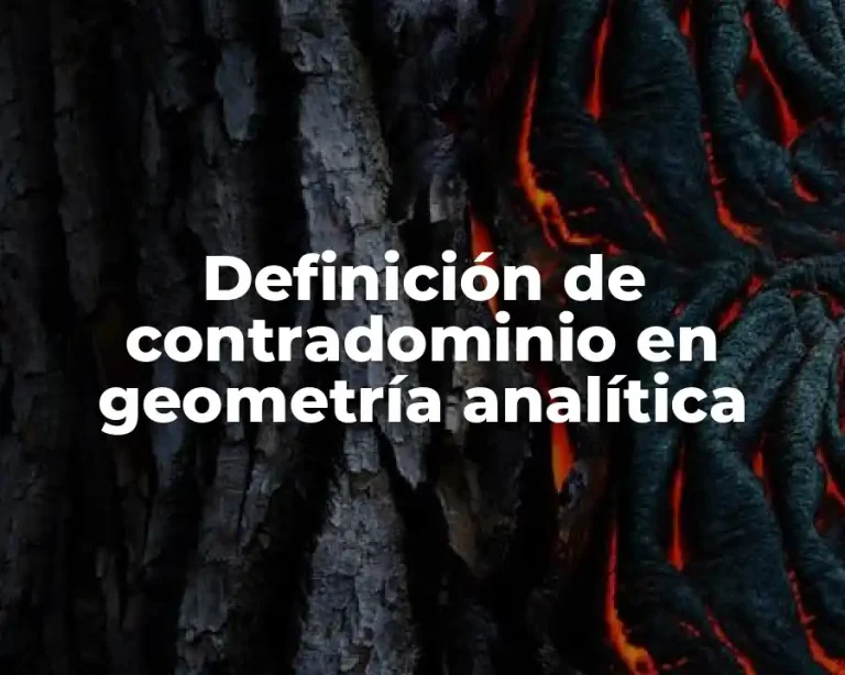 Definición de contradominio en geometría analítica