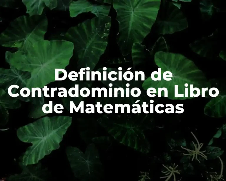 Definición de Contradominio en Libro de Matemáticas