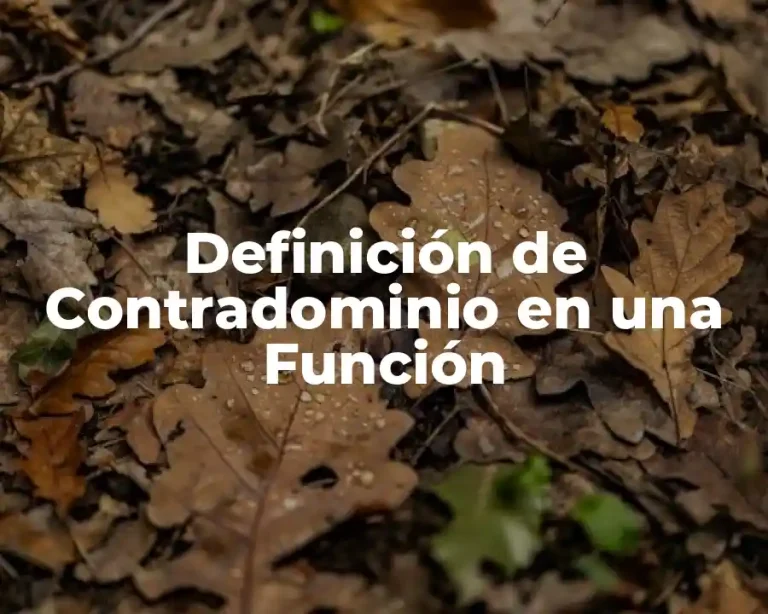 Definición de Contradominio en una Función