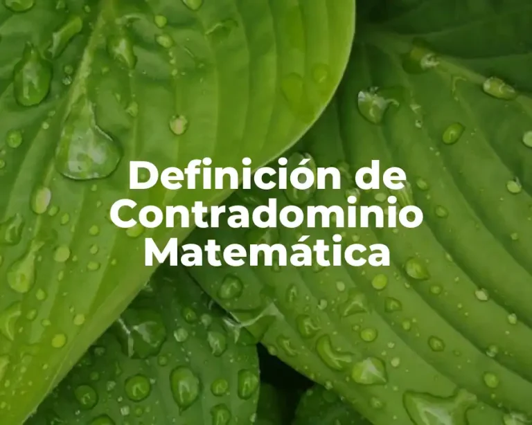 Definición de Contradominio Matemática