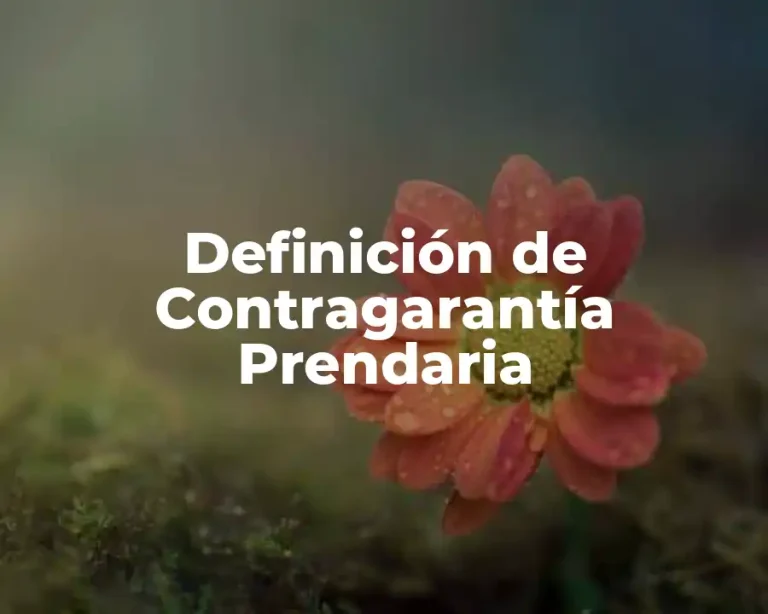 Definición de Contragarantía Prendaria