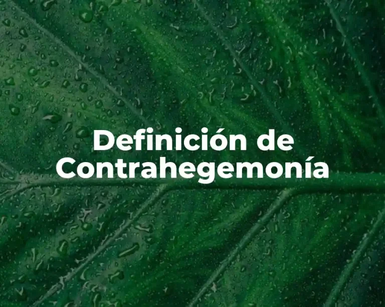 Definición de Contrahegemonía
