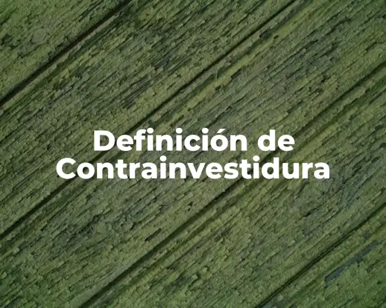 Definición de Contrainvestidura