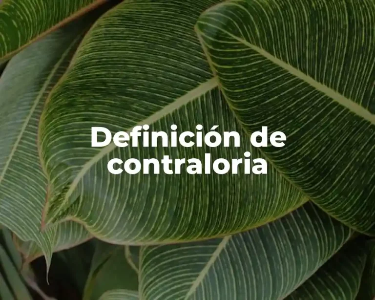 Definición de contraloria