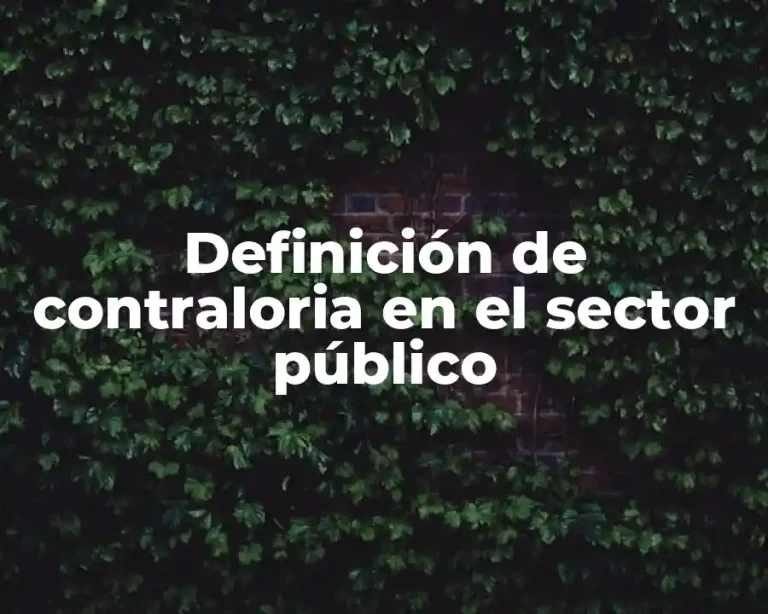 Definición de contraloria en el sector público