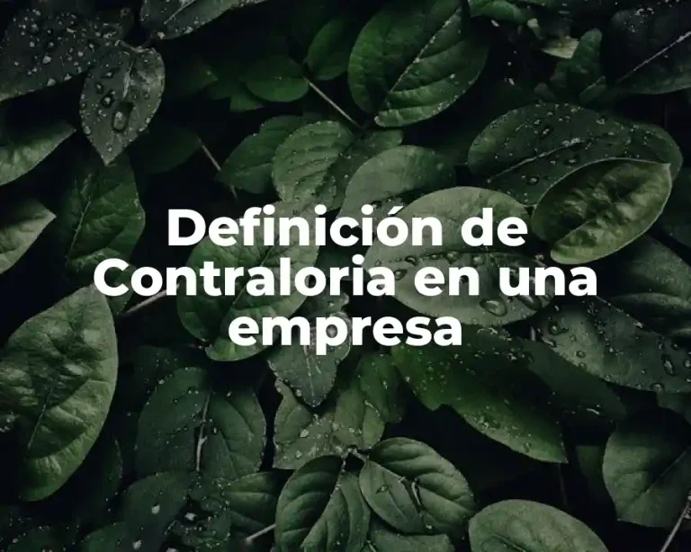 Definición de Contraloria en una empresa