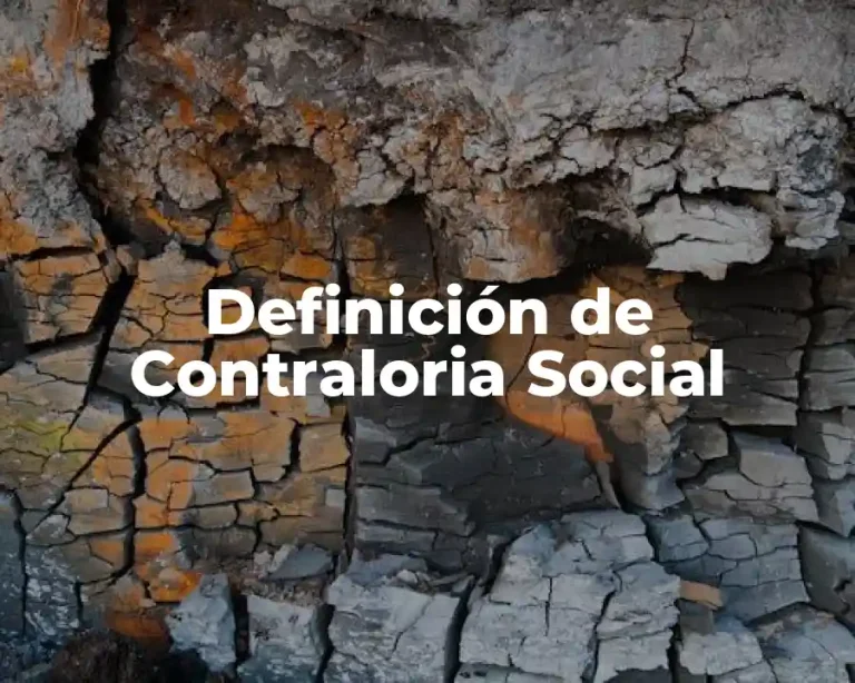 Definición de Contraloria Social