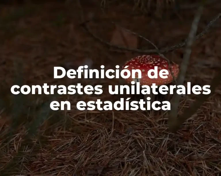 Definición de contrastes unilaterales en estadística