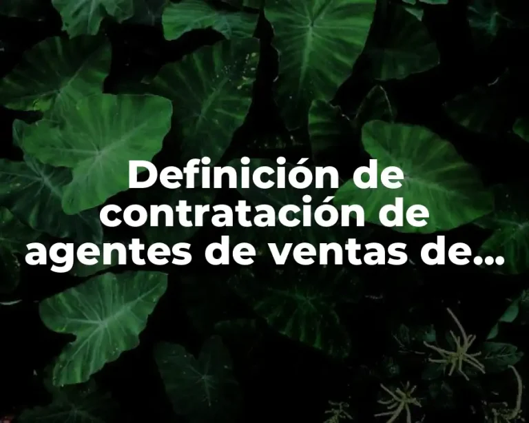 Definición de contratación de agentes de ventas de Remax México