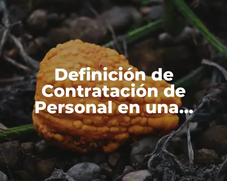 Definición de Contratación de Personal en una Empresa