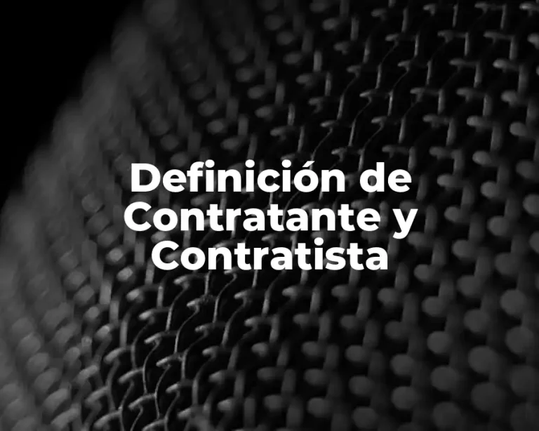 Definición de Contratante y Contratista