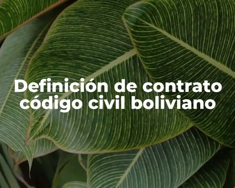 Definición de contrato código civil boliviano
