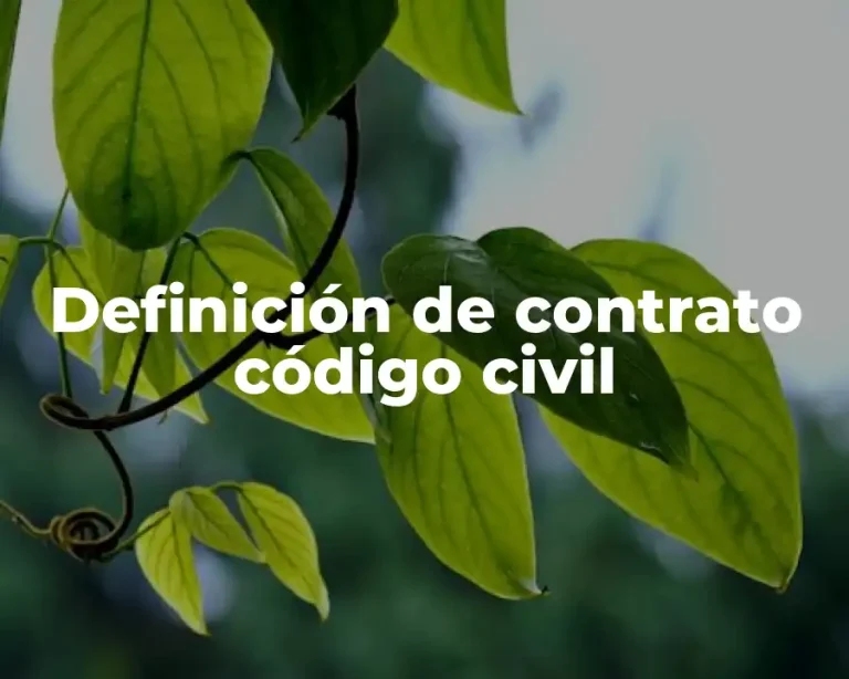 Definición de contrato código civil