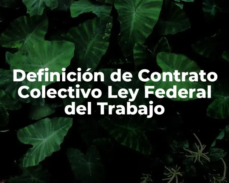 Definición de Contrato Colectivo Ley Federal del Trabajo