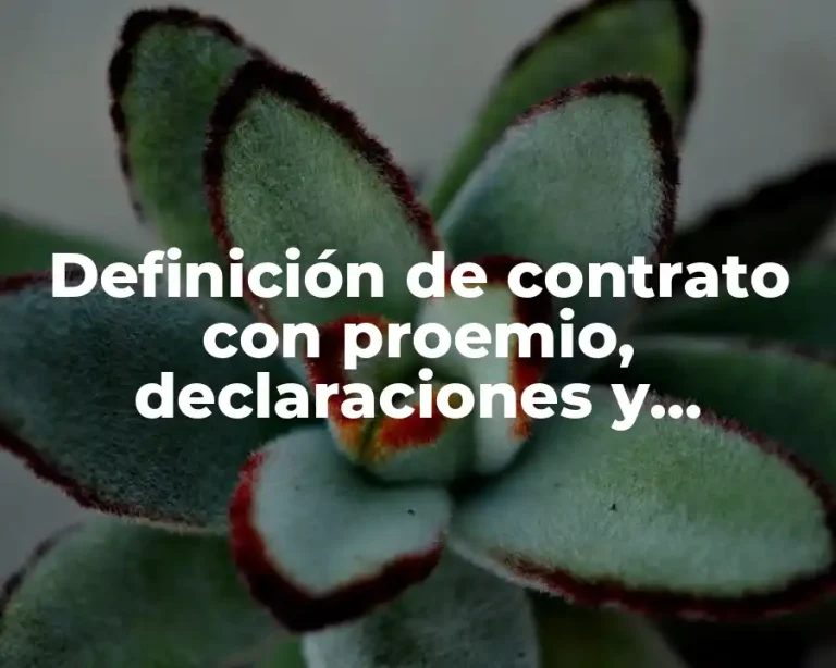 Definición de contrato con proemio, declaraciones y clausulas