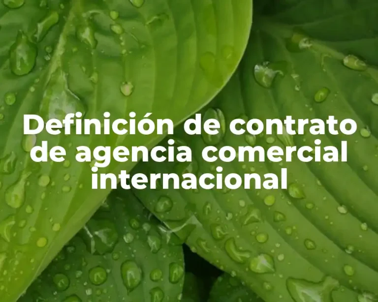 Definición de contrato de agencia comercial internacional