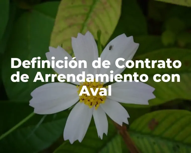 Definición de Contrato de Arrendamiento con Aval