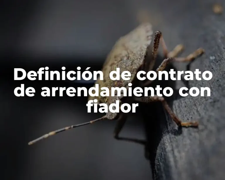 Definición de contrato de arrendamiento con fiador