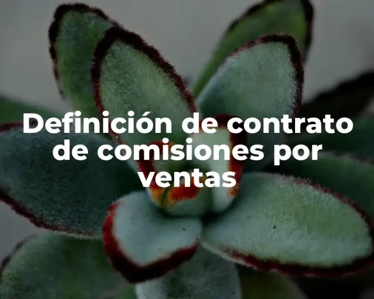 Definición de contrato de comisiones por ventas